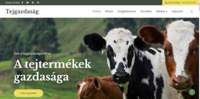 Tejgazdaság
